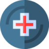 Pharmacy Software Pro Icon For Price