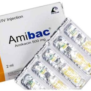Amibac 500mg/2ml Injection-10's Pack