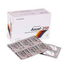 Ancef 250 mg Capsule-20's Pack