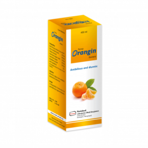 Orangin Syrup-450 ml