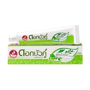Twin Lotus Toothpaste-100 gm